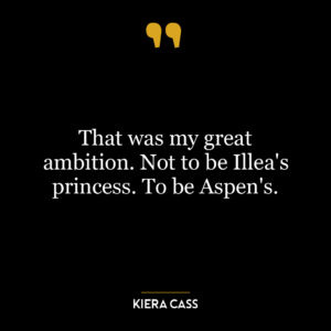 That was my great ambition. Not to be Illea’s princess. To be Aspen’s.