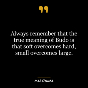 Always remember that the true meaning of Budo is that soft overcomes hard, small overcomes large.